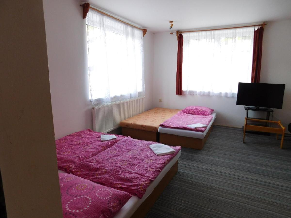 Pension U Mojmira Rokytnice nad Jizerou Exterior foto